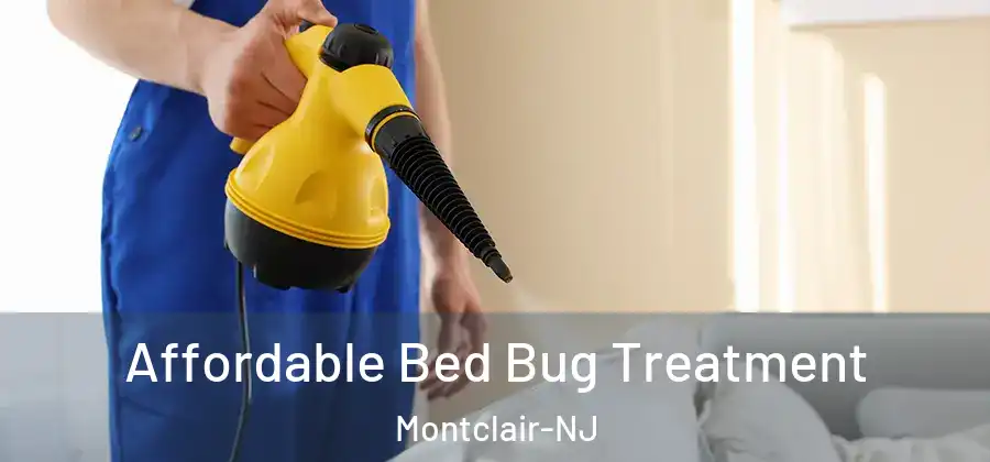  Affordable Bed Bug Treatment Montclair-NJ