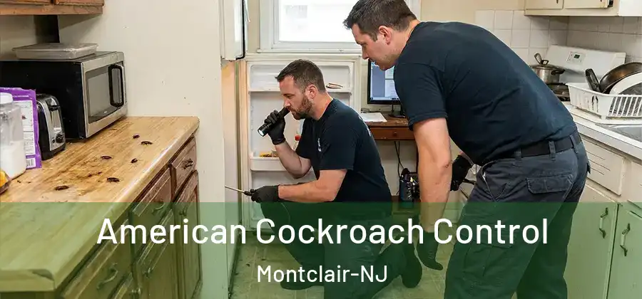 American Cockroach Control Montclair-NJ