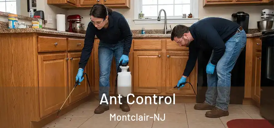 Ant Control Montclair-NJ