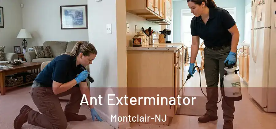 Ant Exterminator Montclair-NJ