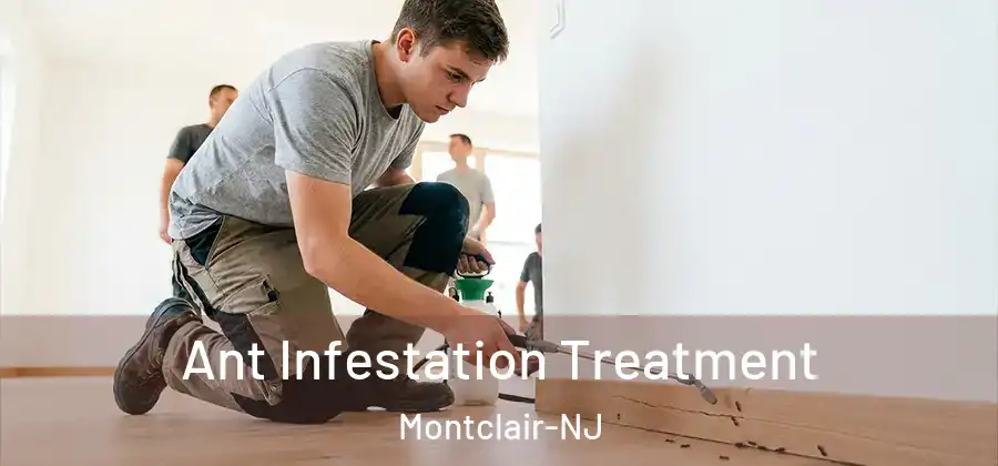  Ant Infestation Treatment Montclair-NJ