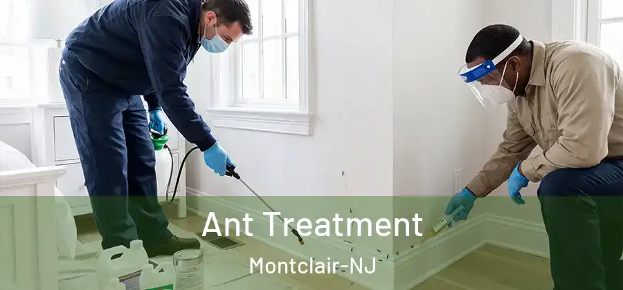 Ant Treatment Montclair-NJ