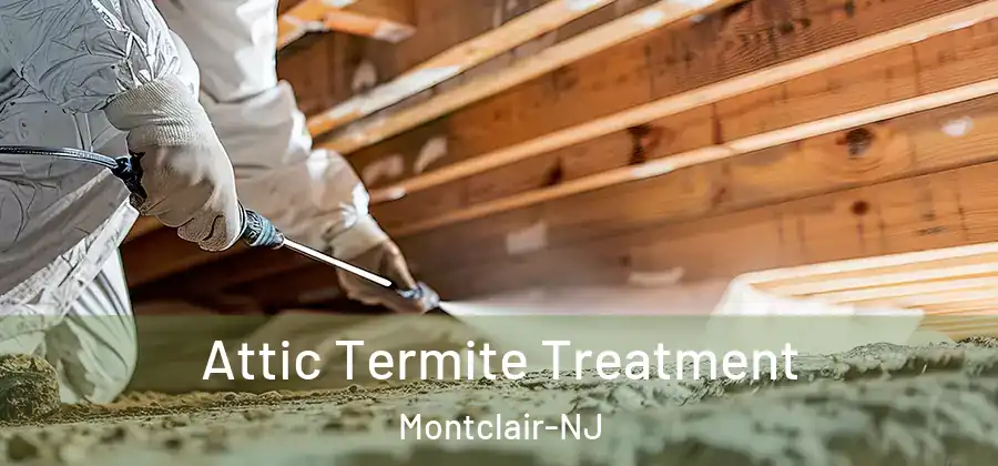 Attic Termite Treatment Montclair-NJ