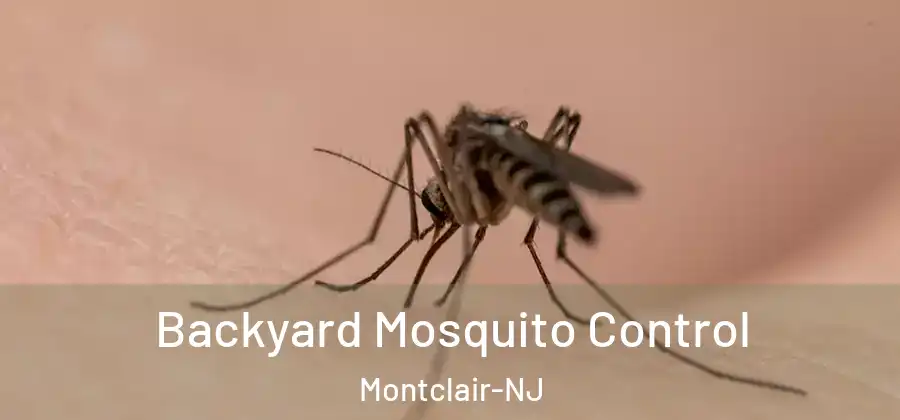 Backyard Mosquito Control Montclair-NJ