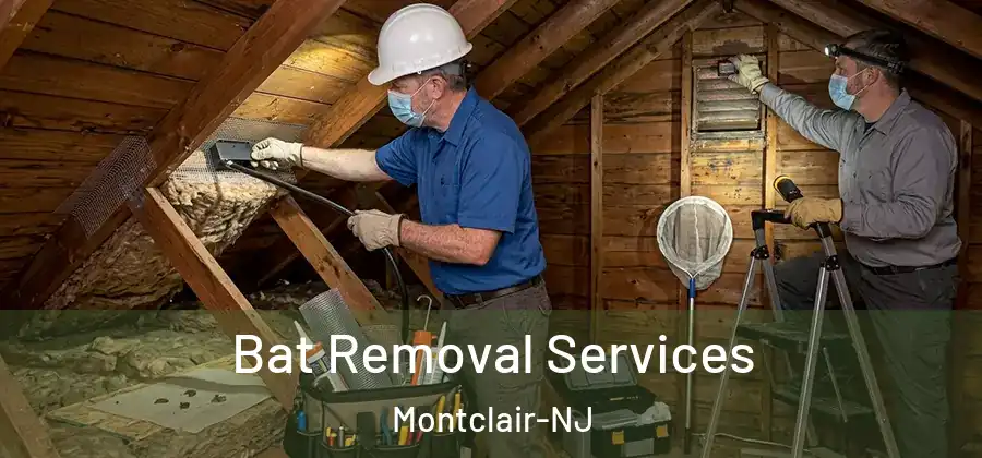 Bat Removal Services Montclair-NJ