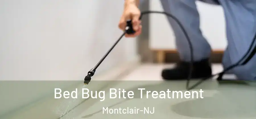 Bed Bug Bite Treatment Montclair-NJ