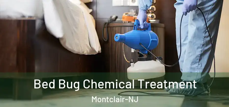  Bed Bug Chemical Treatment Montclair-NJ