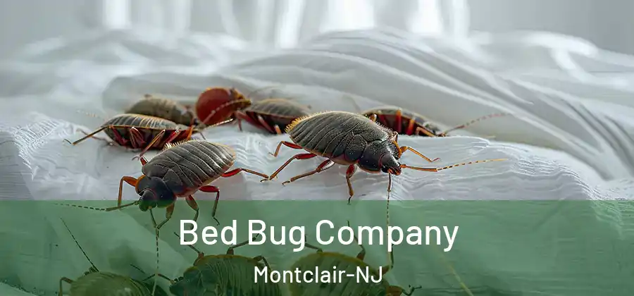 Bed Bug Company Montclair-NJ