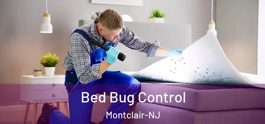 Bed Bug Control Montclair-NJ