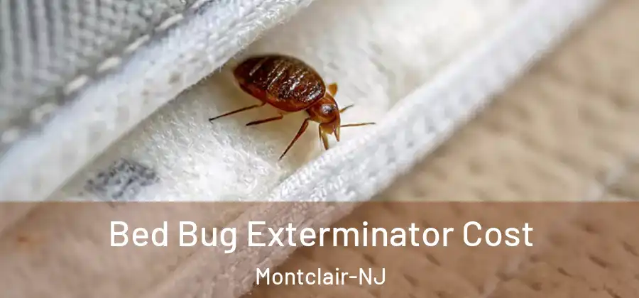 Bed Bug Exterminator Cost Montclair-NJ