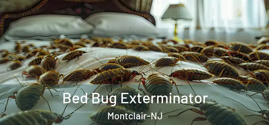 Bed Bug Exterminator Montclair-NJ