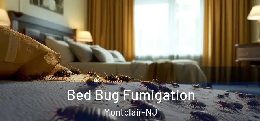 Bed Bug Fumigation Montclair-NJ