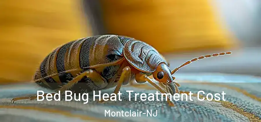 Bed Bug Heat Treatment Cost Montclair-NJ