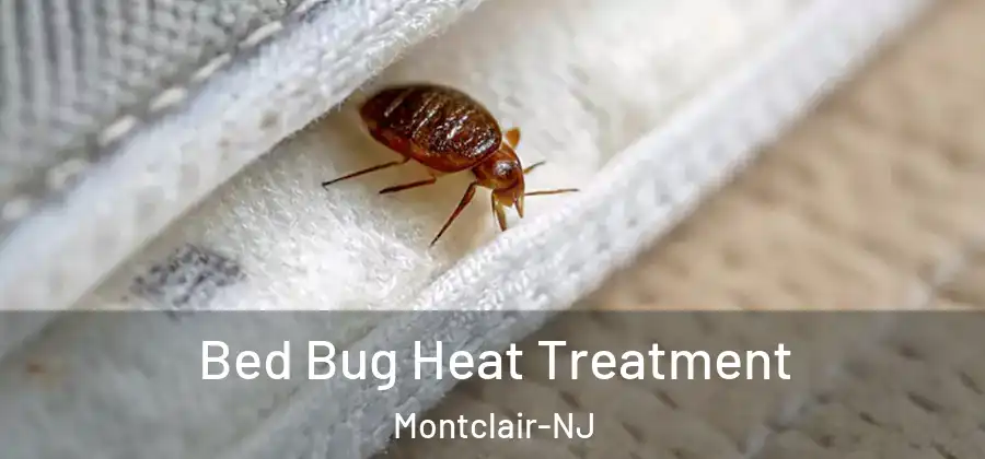  Bed Bug Heat Treatment Montclair-NJ