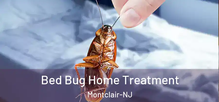  Bed Bug Home Treatment Montclair-NJ