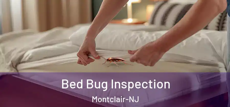 Bed Bug Inspection Montclair-NJ