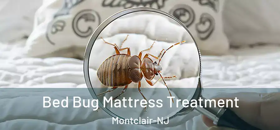  Bed Bug Mattress Treatment Montclair-NJ