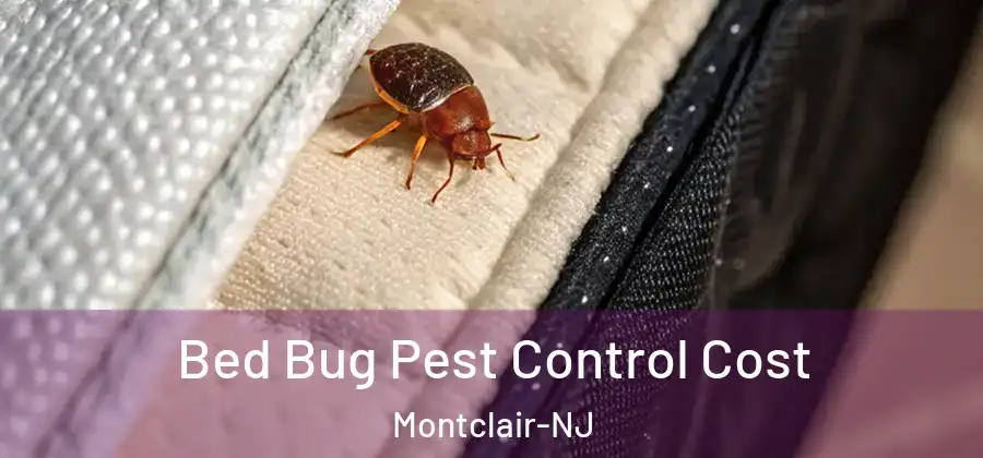 Bed Bug Pest Control Cost Montclair-NJ