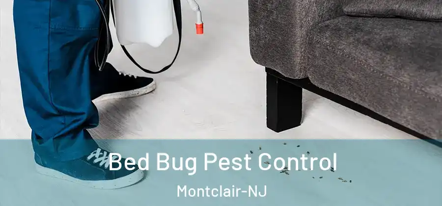 Bed Bug Pest Control Montclair-NJ