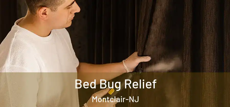  Bed Bug Relief Montclair-NJ