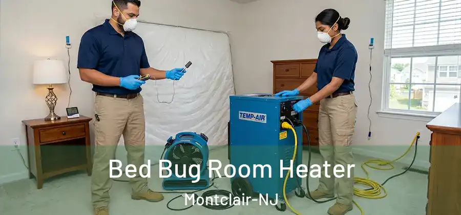 Bed Bug Room Heater Montclair-NJ