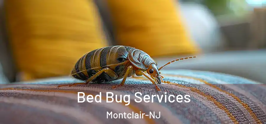 Bed Bug Services Montclair-NJ