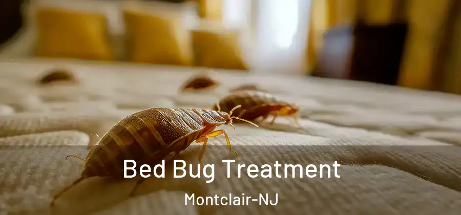 Bed Bug Treatment Montclair-NJ