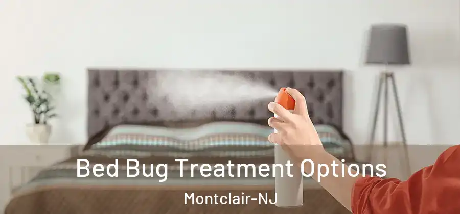 Bed Bug Treatment Options Montclair-NJ