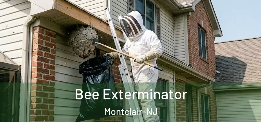  Bee Exterminator Montclair-NJ