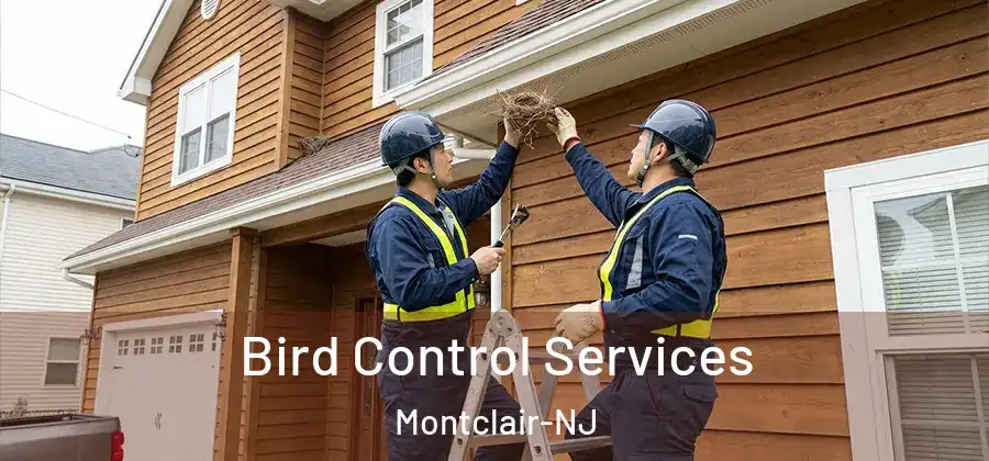  Bird Control Services Montclair-NJ