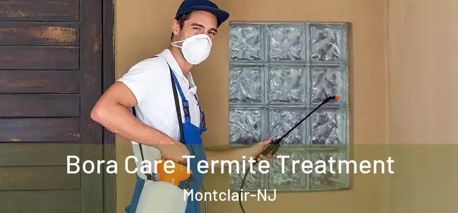 Bora Care Termite Treatment Montclair-NJ