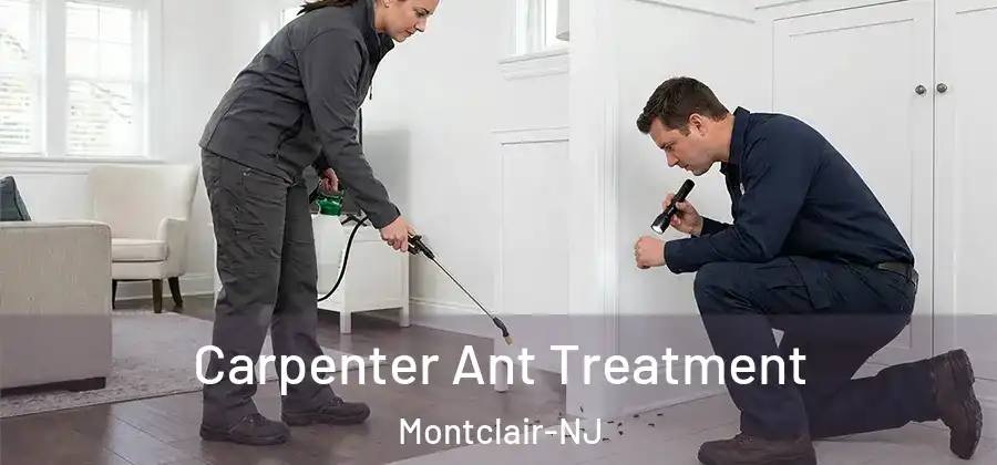  Carpenter Ant Treatment Montclair-NJ