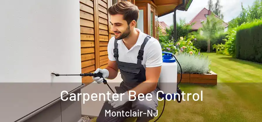Carpenter Bee Control Montclair-NJ