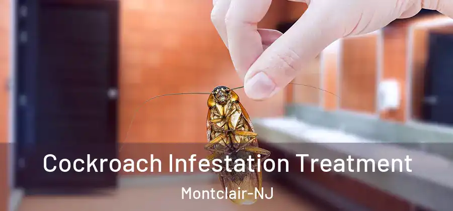  Cockroach Infestation Treatment Montclair-NJ
