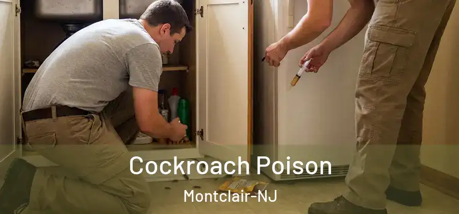 Cockroach Poison Montclair-NJ