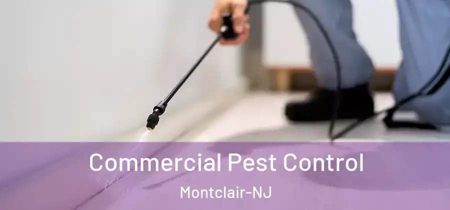 Commercial Pest Control Montclair-NJ