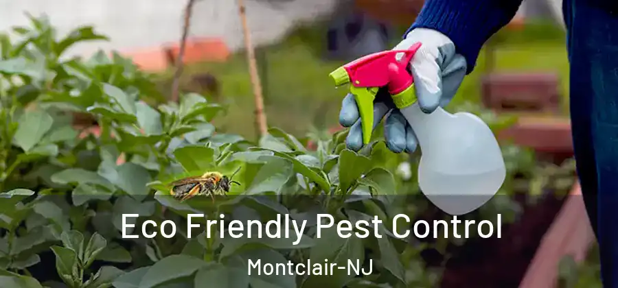Eco Friendly Pest Control Montclair-NJ