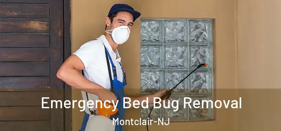 Emergency Bed Bug Removal Montclair-NJ