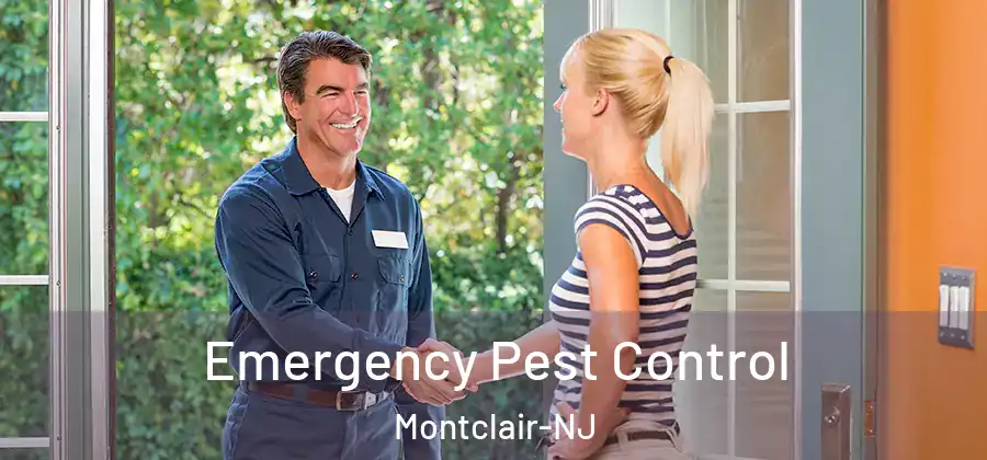 Emergency Pest Control Montclair-NJ
