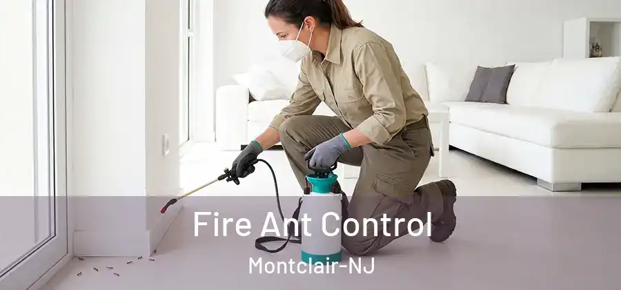 Fire Ant Control Montclair-NJ