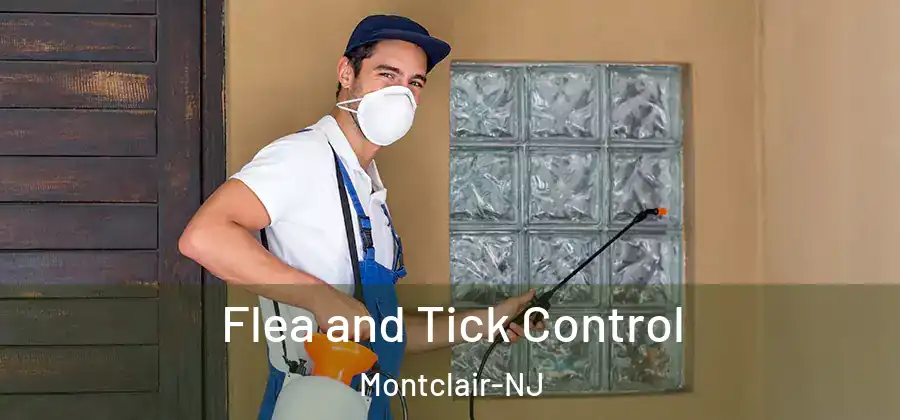 Flea and Tick Control Montclair-NJ