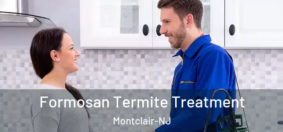  Formosan Termite Treatment Montclair-NJ