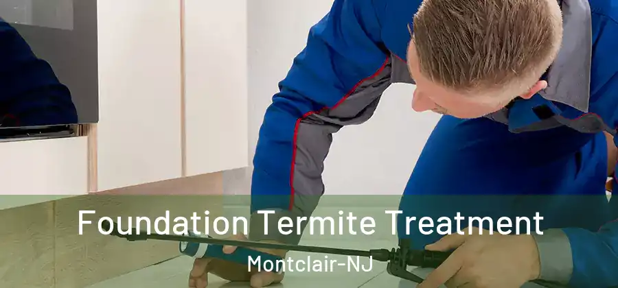  Foundation Termite Treatment Montclair-NJ
