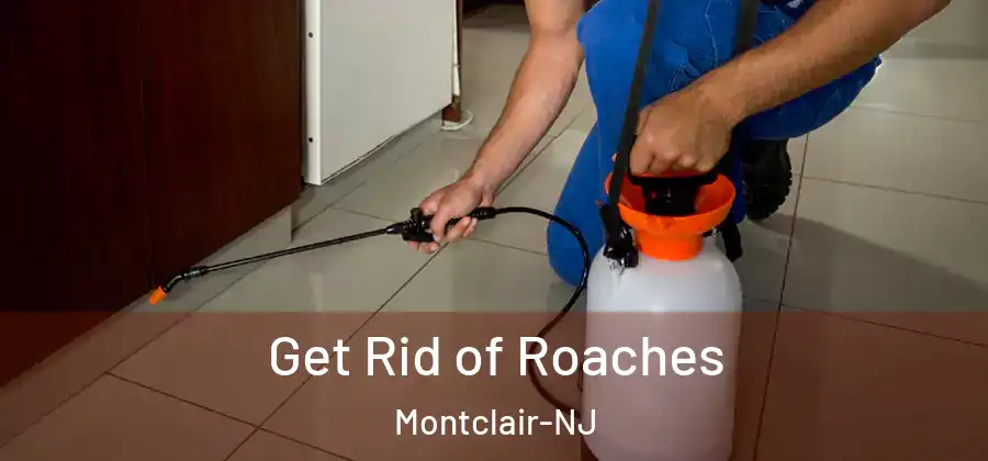 Get Rid of Roaches Montclair-NJ