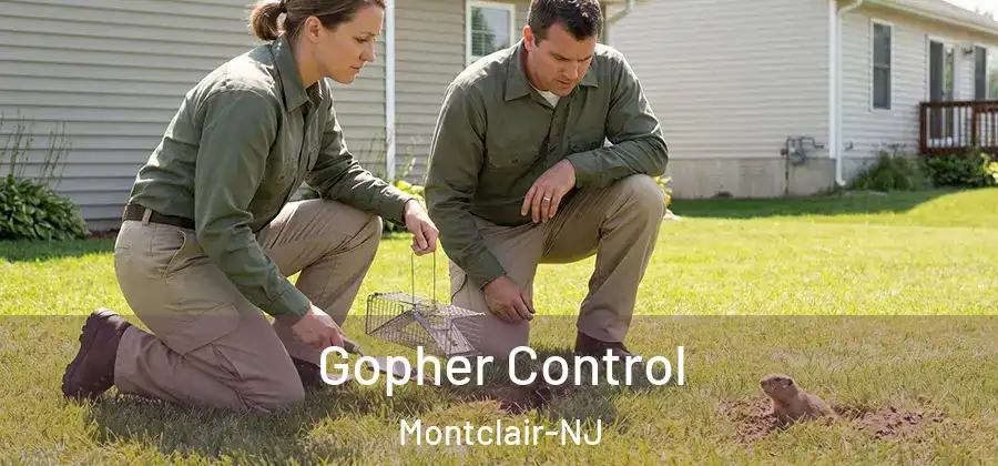 Gopher Control Montclair-NJ