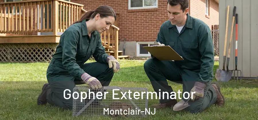 Gopher Exterminator Montclair-NJ
