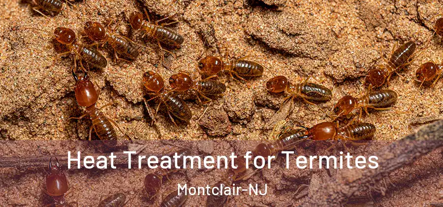  Heat Treatment for Termites Montclair-NJ