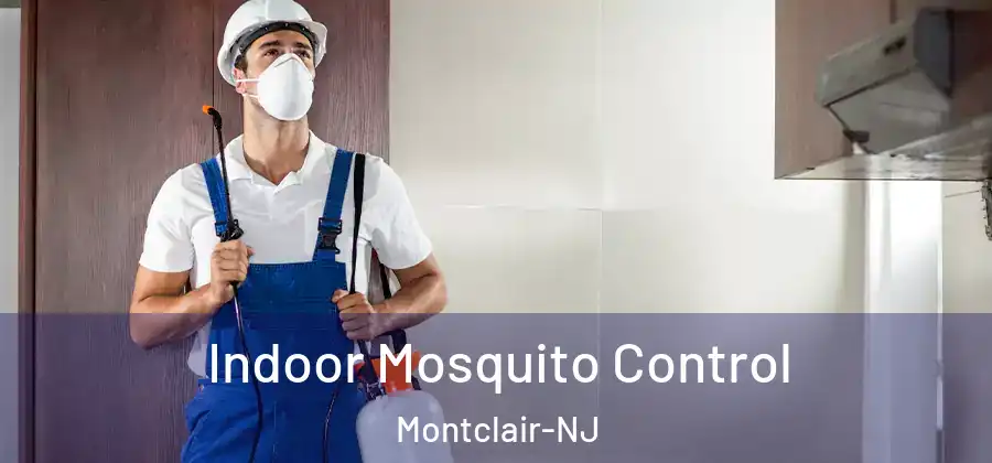 Indoor Mosquito Control Montclair-NJ