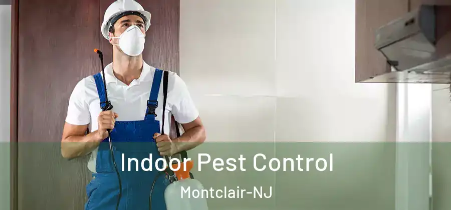 Indoor Pest Control Montclair-NJ