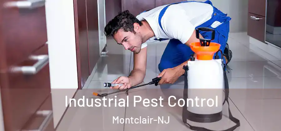 Industrial Pest Control Montclair-NJ